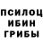 Псилоцибиновые грибы GOLDEN TEACHER Mr. Relentless